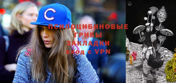 бутират Алексин