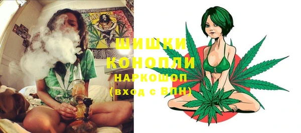 ПСИЛОЦИБИНОВЫЕ ГРИБЫ Алзамай
